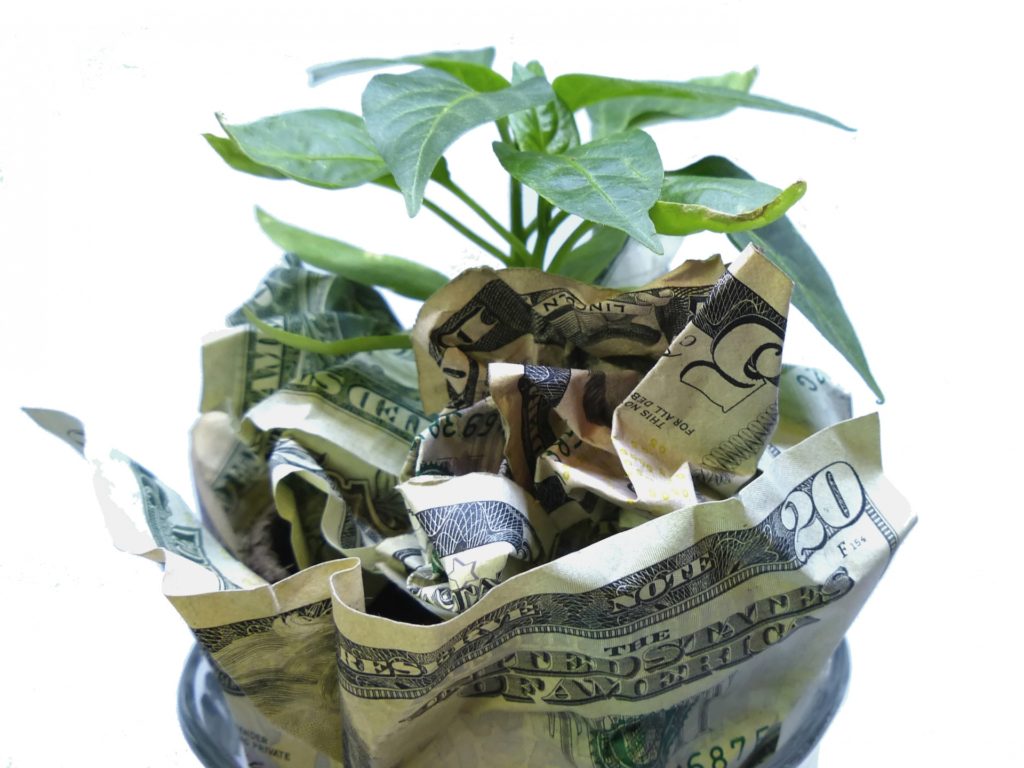 money growth
